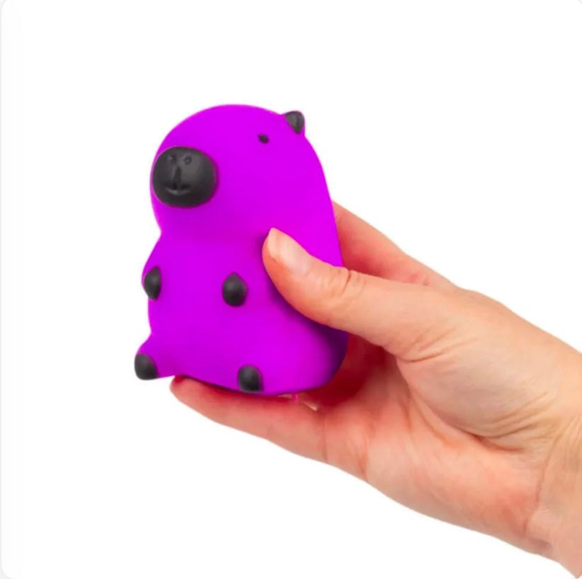 Capybara squishy toys