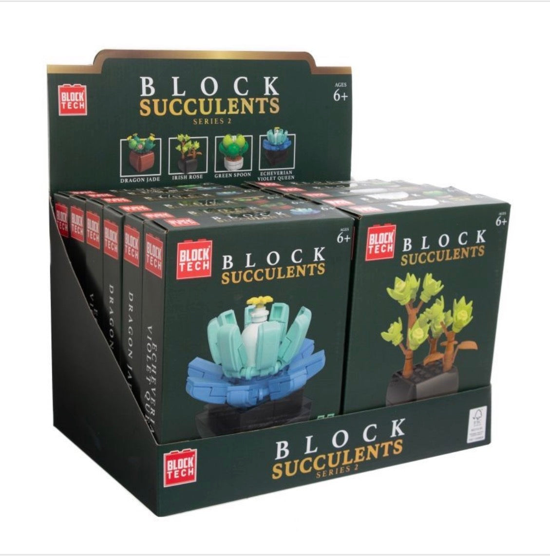 Block tech succulent plants