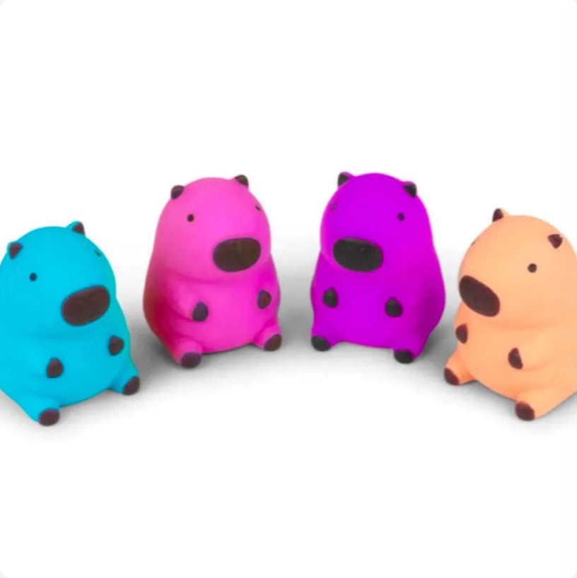 Capybara squishy toys
