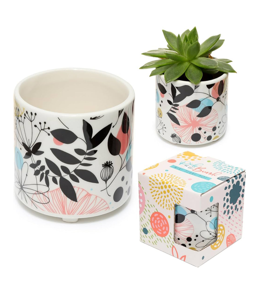 Ceramic indoor plant pot