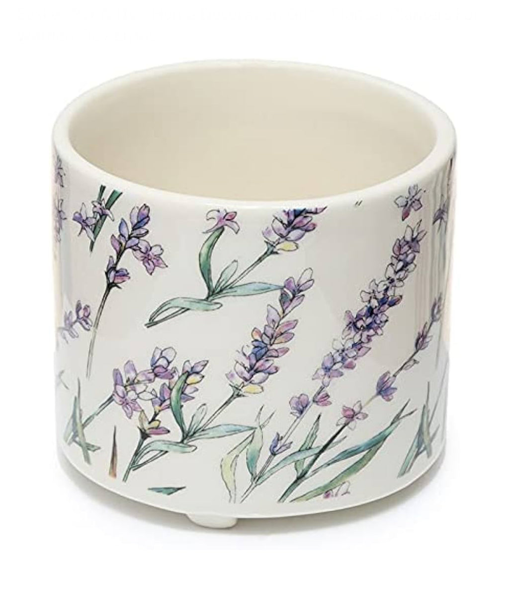 Ceramic lavender indoor plant pot