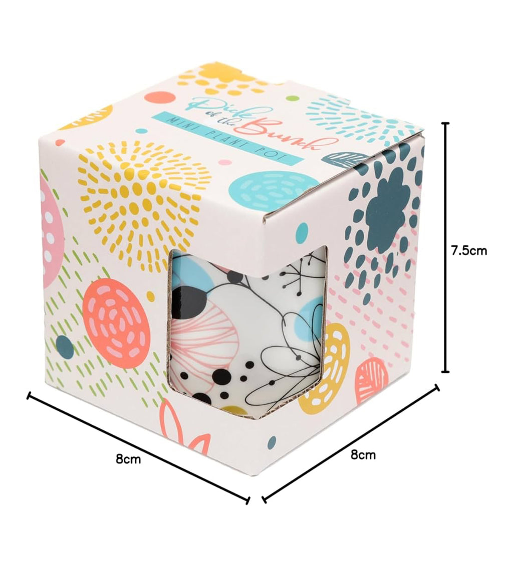 Ceramic indoor plant pot